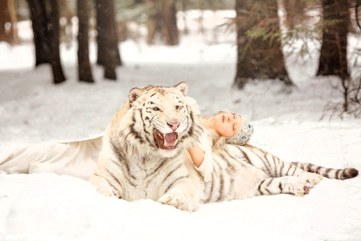 �1757912 �������(a): ����������:1920x1280